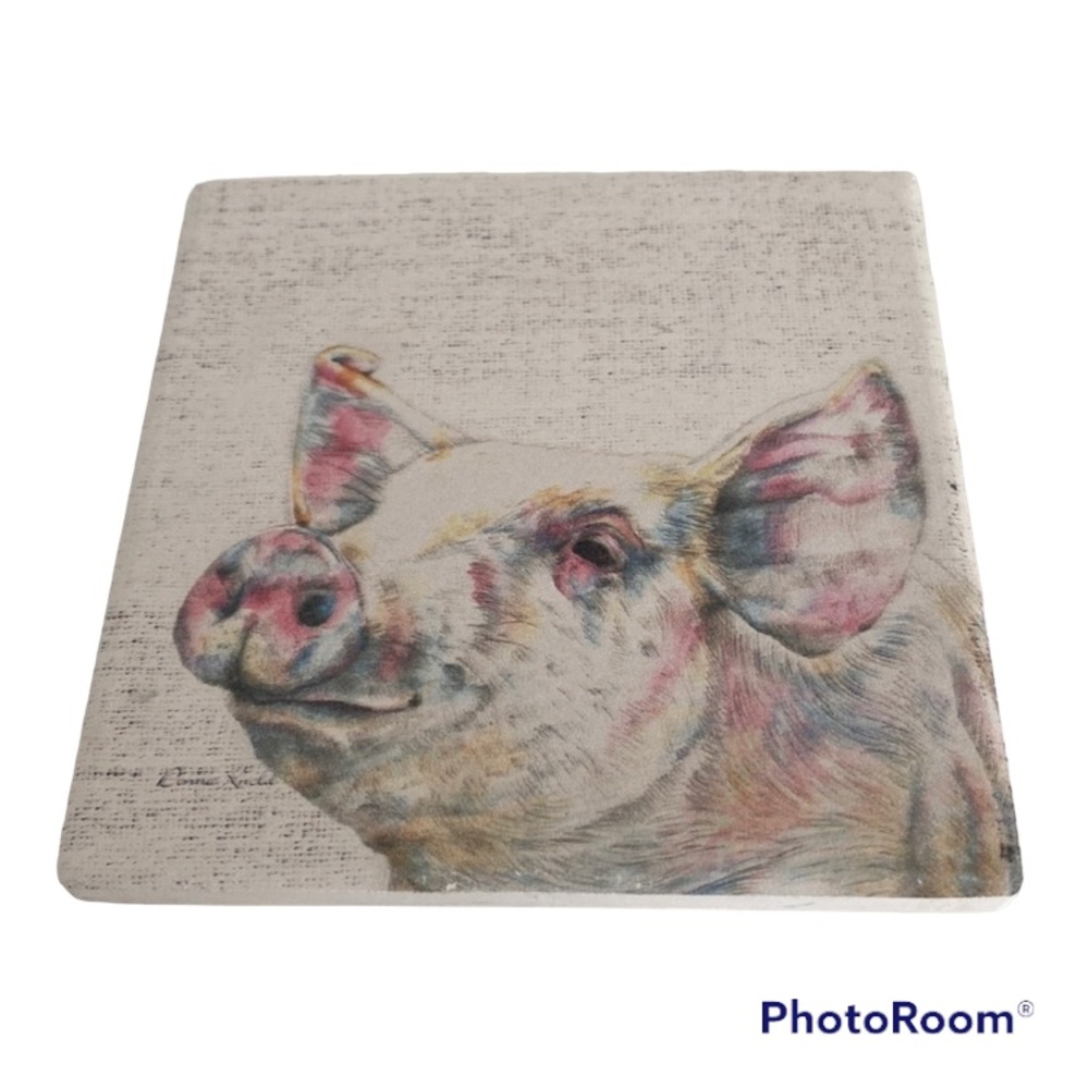 4 Cute Pig Stone Coasters